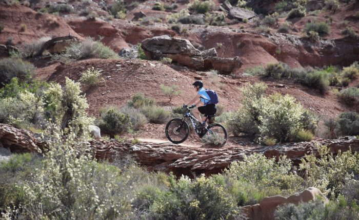 Wendy’s “Spa” Day: biking & a quilt&nbsp;shop