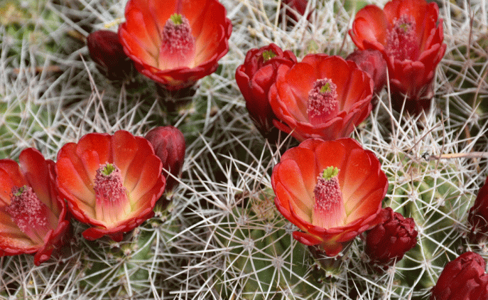 Hikes, Bikes and&nbsp;Jeeps