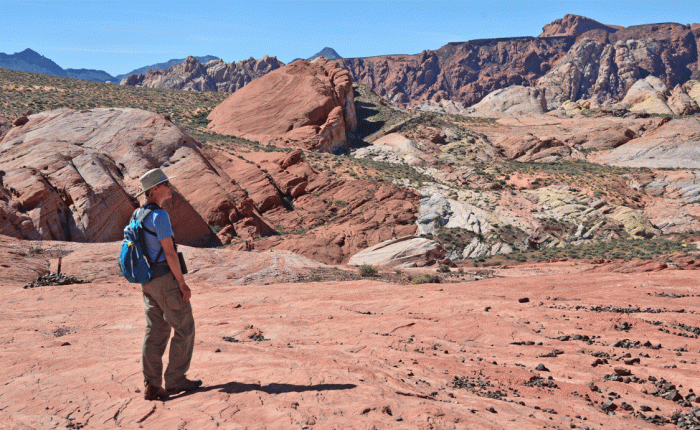 Hiking, Birding and Biking in&nbsp;Nevada