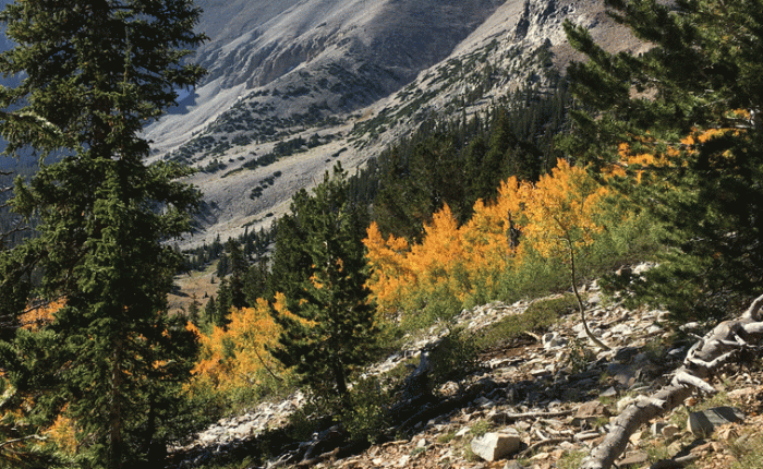 Going South in&nbsp;September