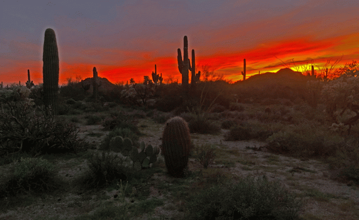 Mesa, Arizona and Area: Part&nbsp;2