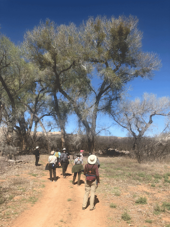 Tuzigoot-birding