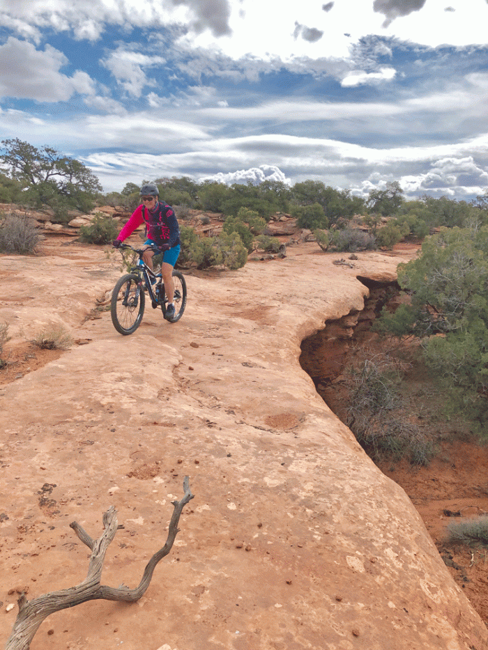 Wendy_Intrepid-trails