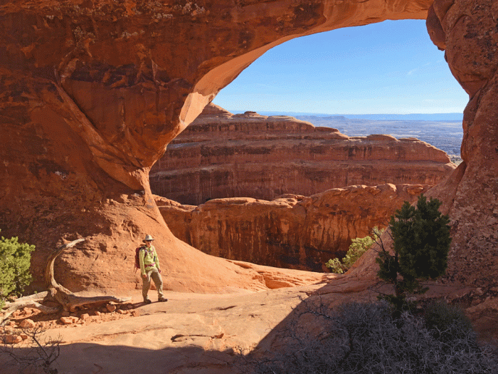 Wendy_Partition-Arch