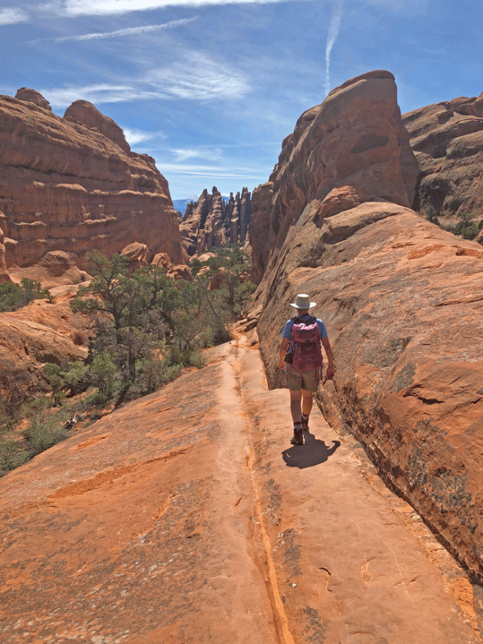 Wendy_Primitive-trail