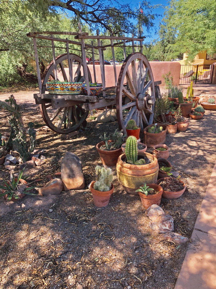 Tubac-garden