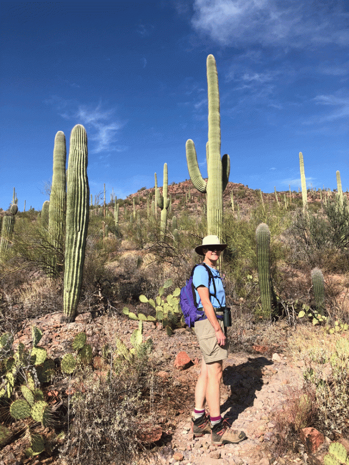 Wendy_Browns-Mtn-hike-start