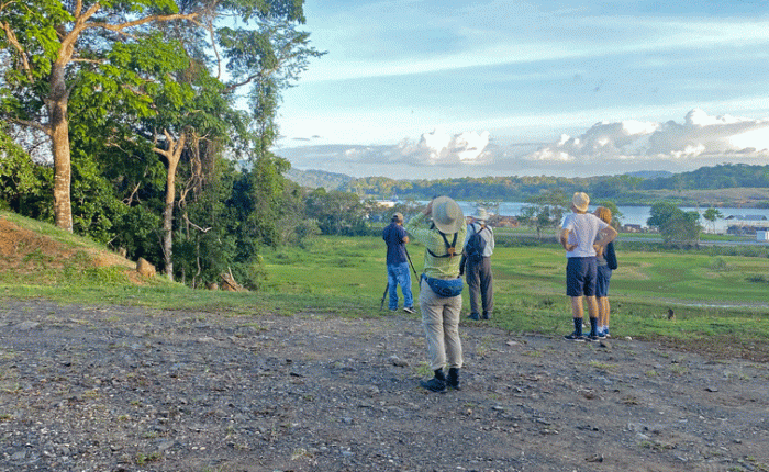 Birding in Panama –&nbsp;2