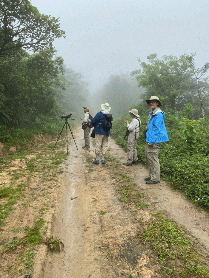Birding-in-the-cloud-forest