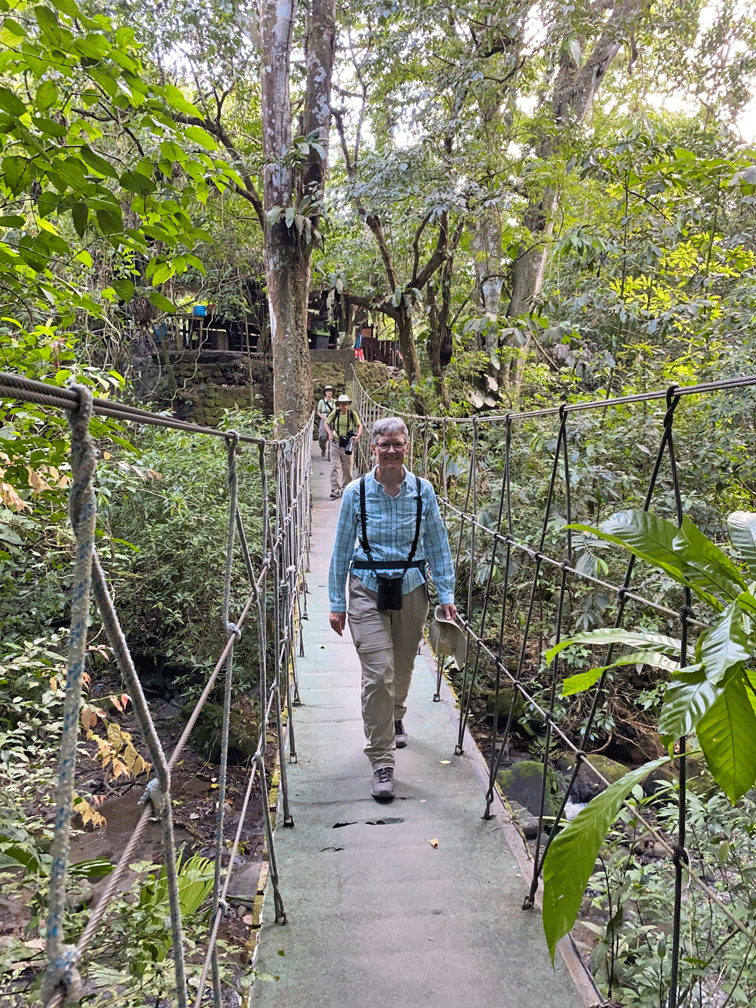 Bridge