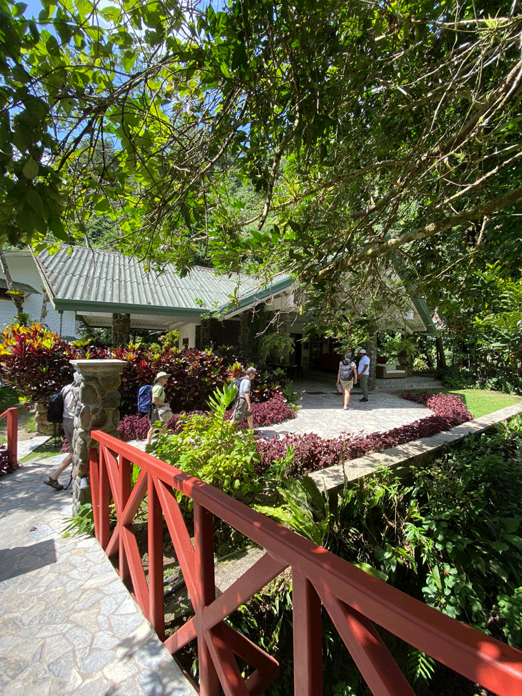 Canopy-Lodge-from-bridge
