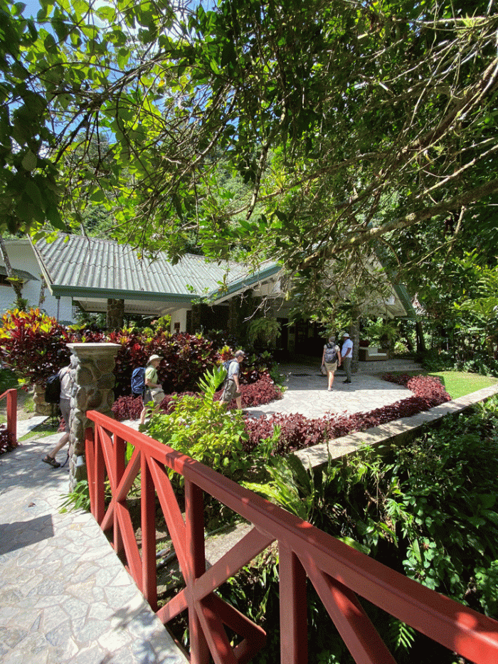 Canopy-Lodge-from-bridge