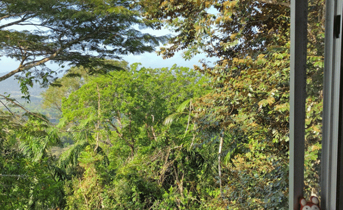 Birding in Panama –&nbsp;1