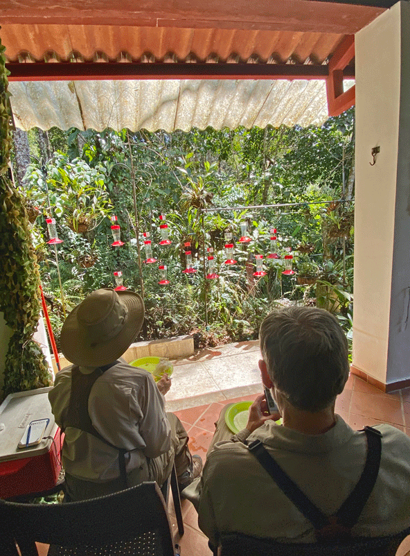 Harrison-House-feeders