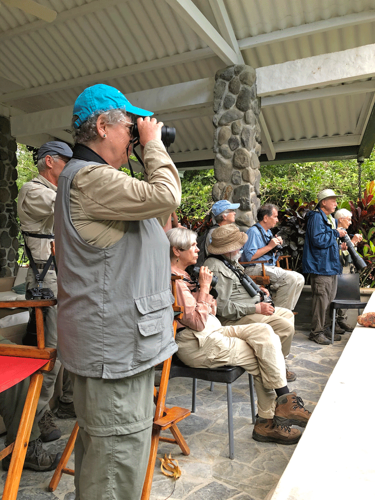 Lodge-feeder-viewing