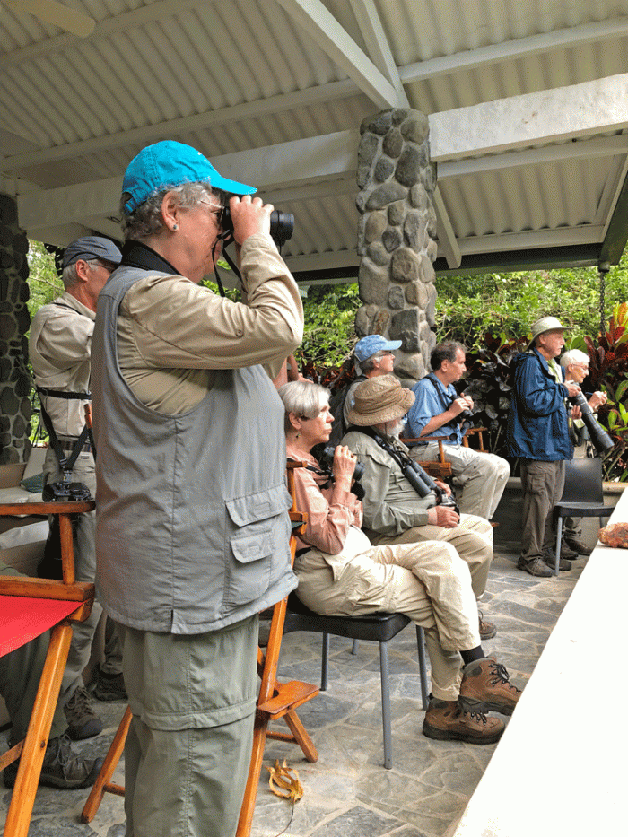Lodge-feeder-viewing