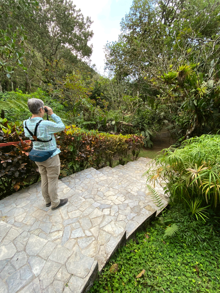 View-of-feeder