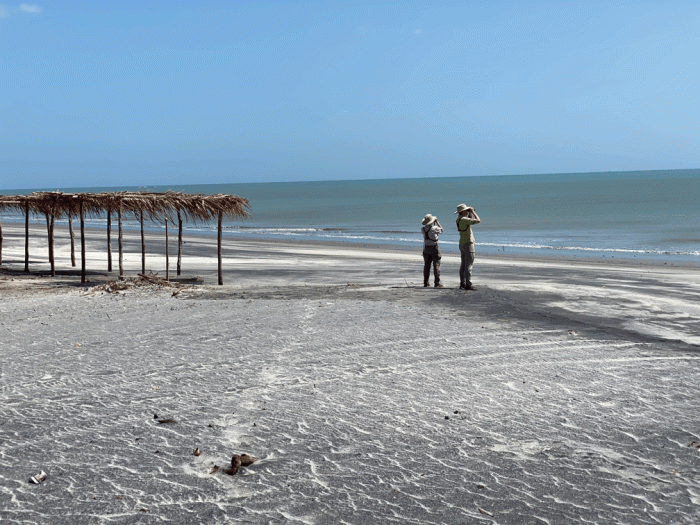 Wendy-Gretchen-beach