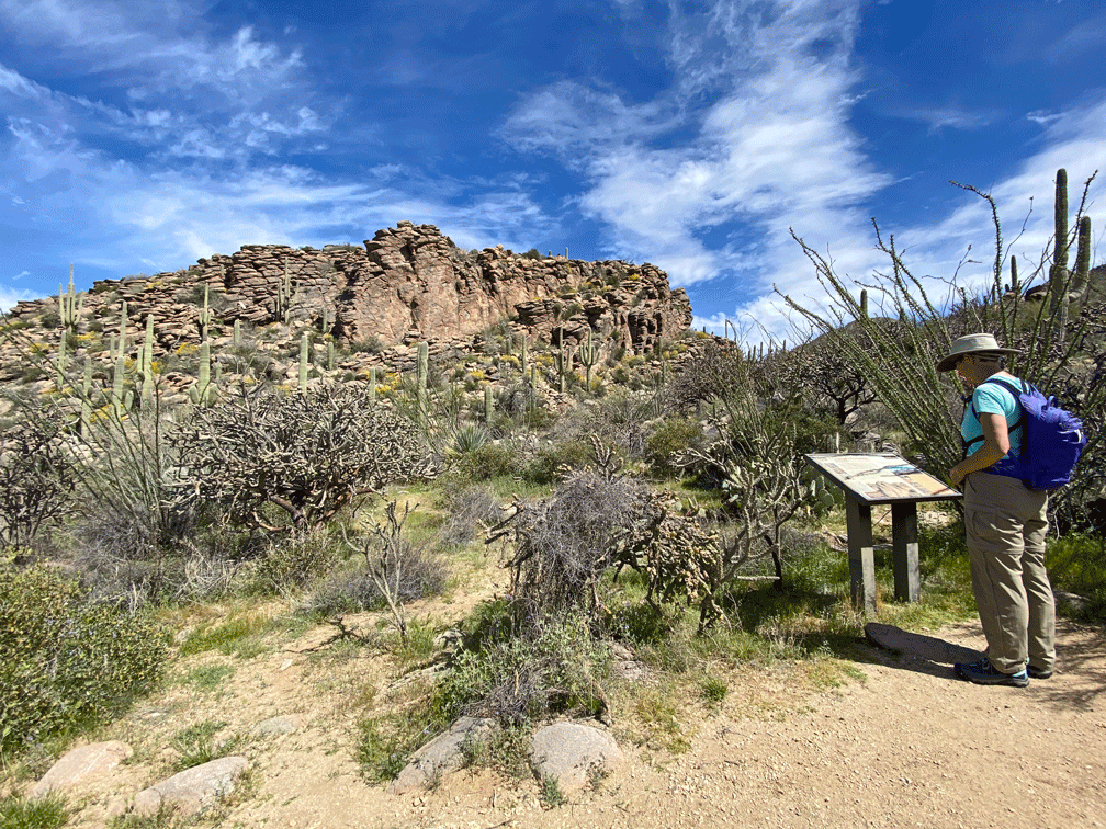 Alamo-Springs-Machu-Pichu