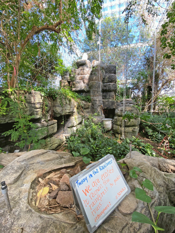 Biosphere-Rainforest