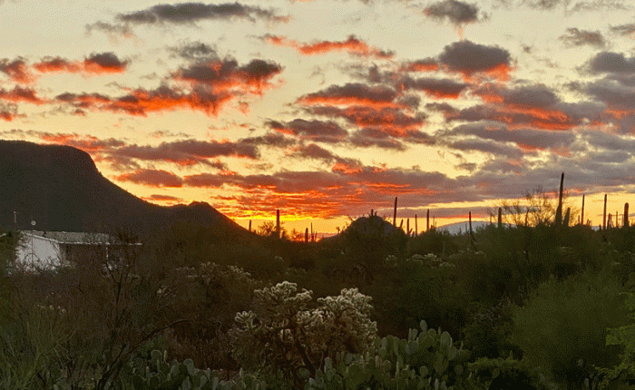 Tucson, AZ: final post