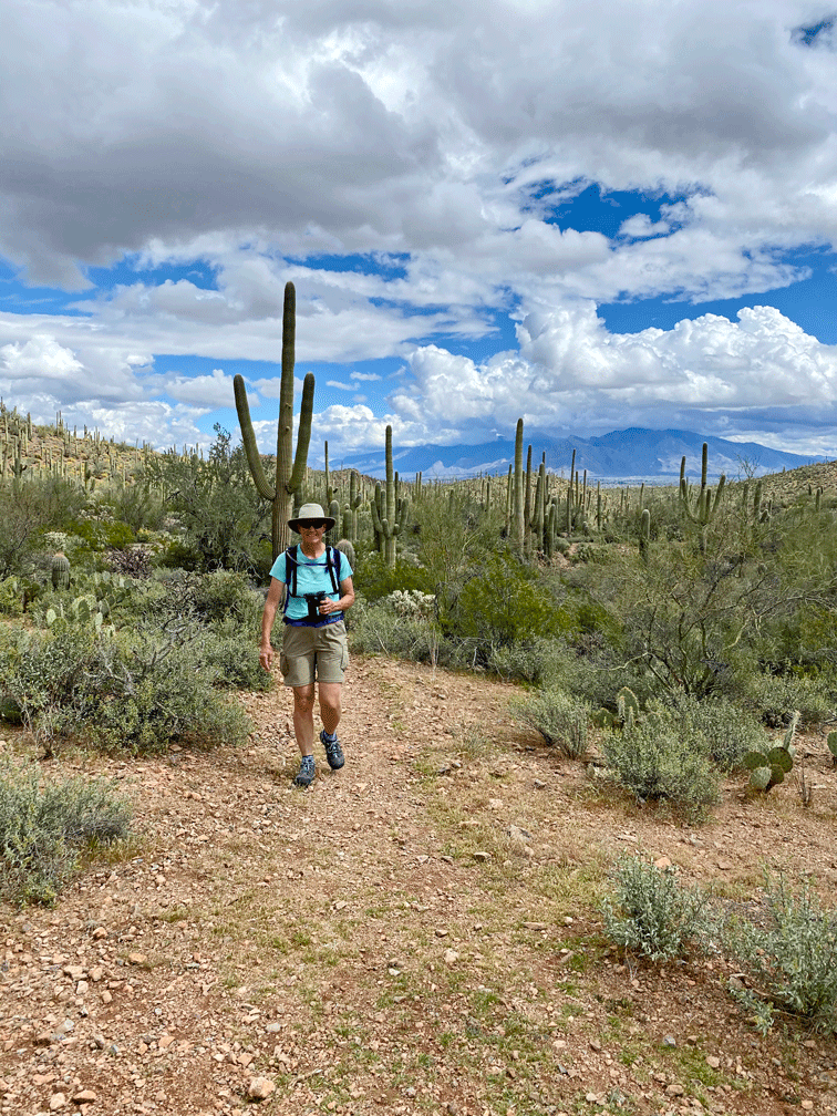 Wendy-GilaMonsterLoop-hike