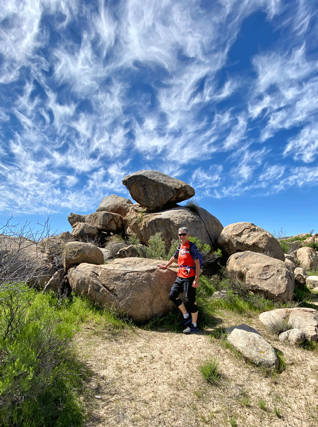 Wendy-Honeybee-rocks