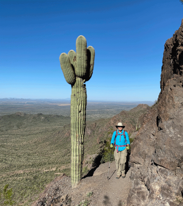 Wendy-Saguaro-Picacho