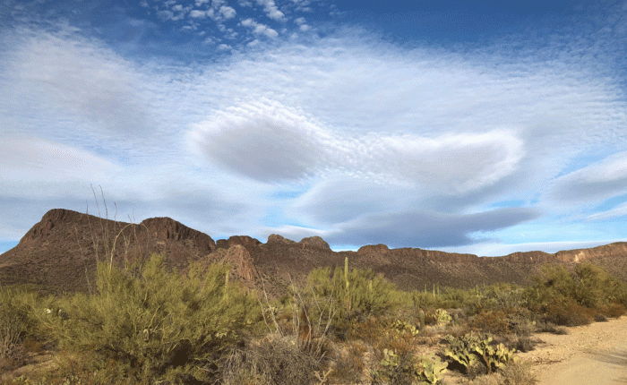 February in Arizona – Part&nbsp;1