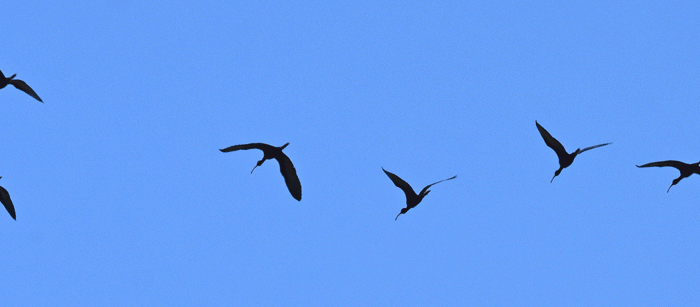 March in Arizona – Part&nbsp;2