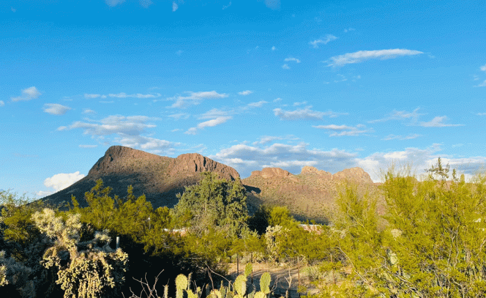 Arizona Fun – January&nbsp;2022