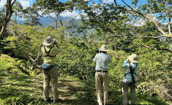 Costa Rica in March – Part&nbsp;2