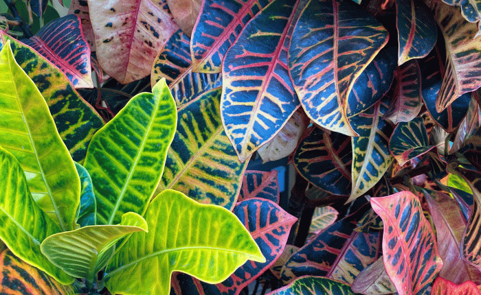 Costa Rica in March – Part&nbsp;1