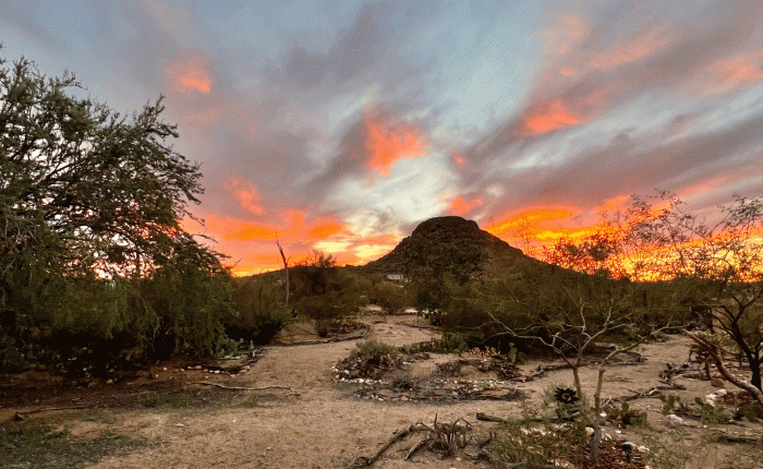 Arizona Adventures: February&nbsp;2022