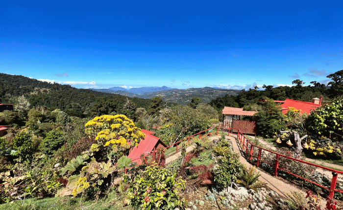 Costa Rica in March – Part&nbsp;3