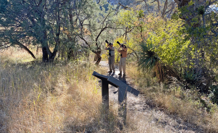 November 2022 – Part 2 – Mostly Birds