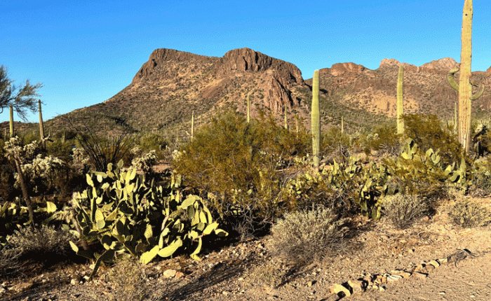 November 2022: Arizona Adventures – Part 1