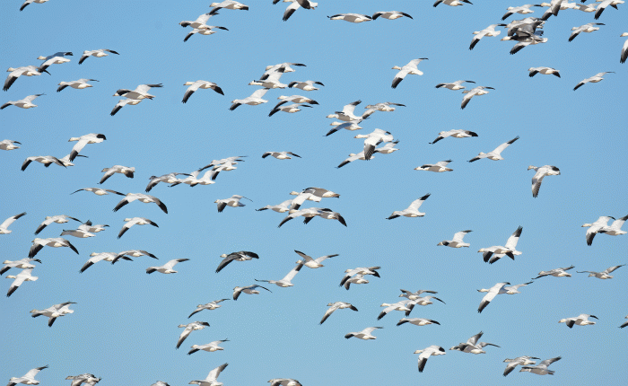 January 2023 – Part 2:&nbsp;Birding