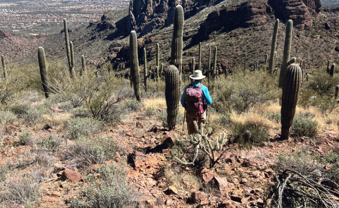 March 2023 in Arizona – Part&nbsp;1