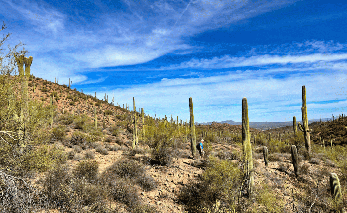 December 2023 – Back to Arizona