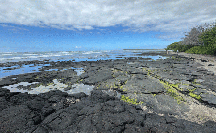 January in Hawaii – Part&nbsp;1