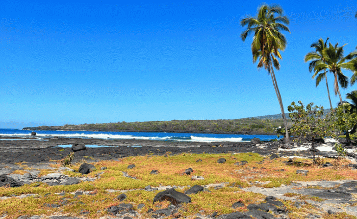 January in Hawaii – Part&nbsp;3