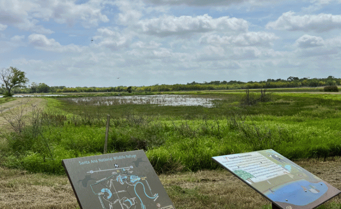 April 2024 in Texas – Part 5