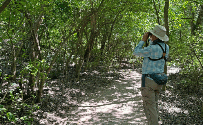 April 2024 in Texas – Part&nbsp;3