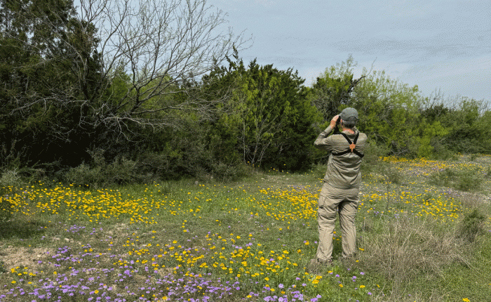 April 2024 in Texas – Part&nbsp;1