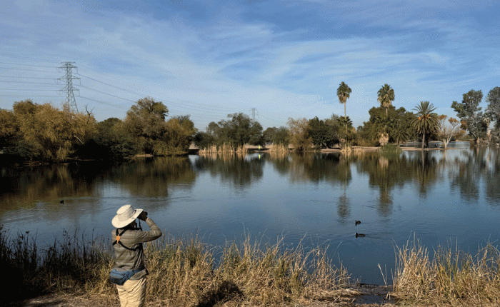 December 2024: Part 2:&nbsp;Birding