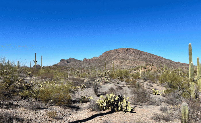 January 2025 in Arizona: hiking etc.