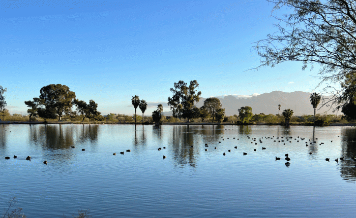 March 2025: Part 2: Birding