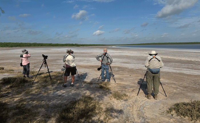 April 2025 in Texas – Part 2