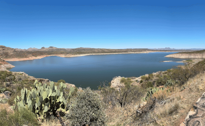 April 2025 in Arizona: Birds and&nbsp;More